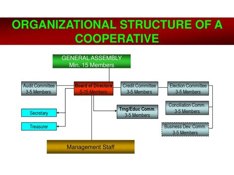 What is the governance structure of a cooperative?