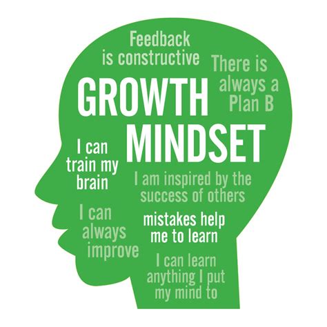 What is the growth mindset of excellent job?