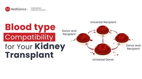 What is the hardest blood type for kidney transplant?