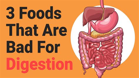 What is the hardest food for the body to digest?