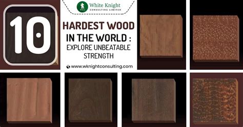 What is the hardest wood coating?