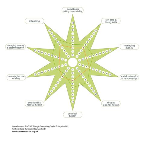 What is the health outcome star?