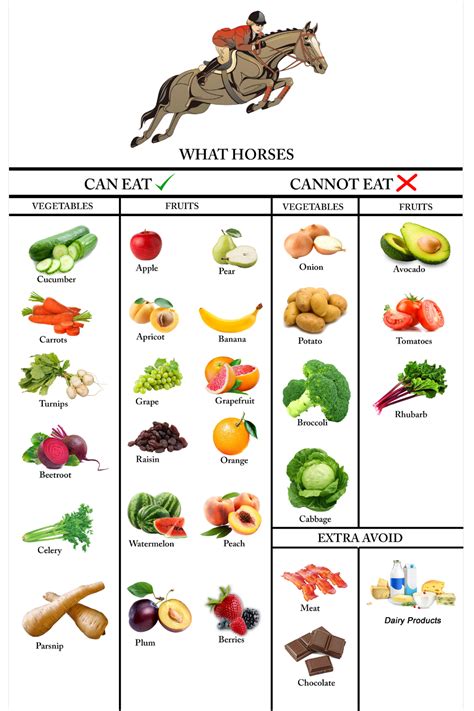 What is the healthiest food for horses?