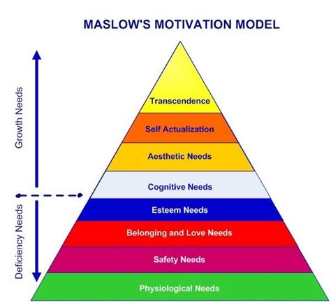 What is the hierarchy of happiness?