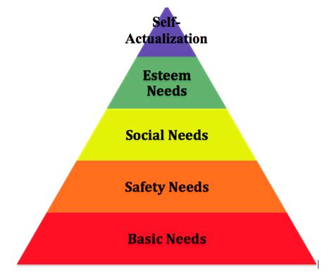 What is the hierarchy of needs in social needs?