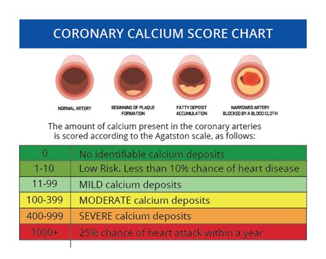 What is the highest calcium score possible?