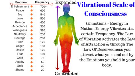 What is the highest frequency in the human body?