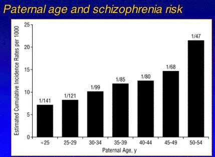 What is the highest risk age for schizophrenia?