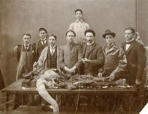 What is the history of cadaver use?