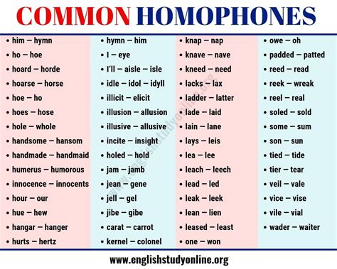 What is the homonym of head?