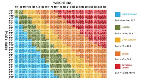 What is the ideal BMI?