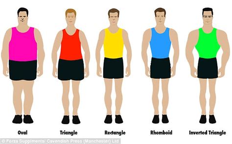 What is the ideal body type?