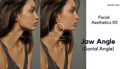 What is the ideal female jaw?