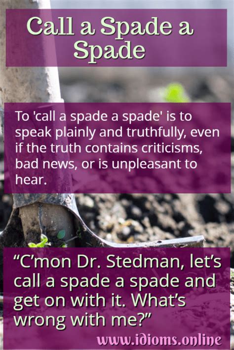 What is the idiom and sentence of call a spade a spade?