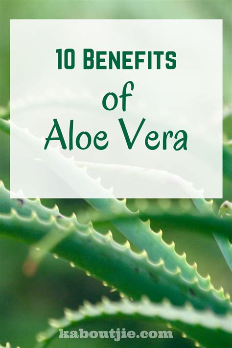 What is the issue with aloe vera?