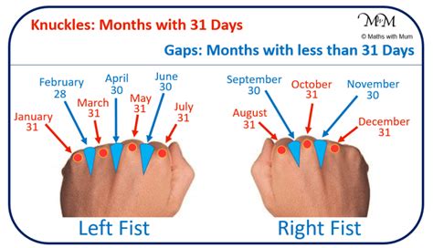 What is the knuckle trick for months?