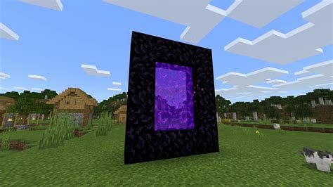 What is the largest nether portal?