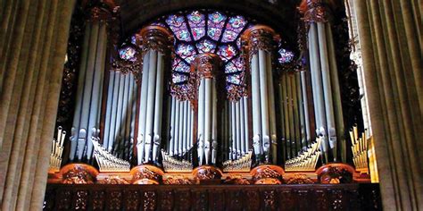 What is the largest organ in Paris?