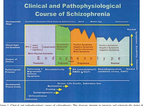 What is the last stage of schizophrenia?