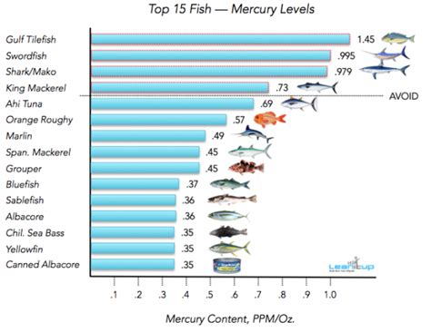 What is the least contaminated fish?