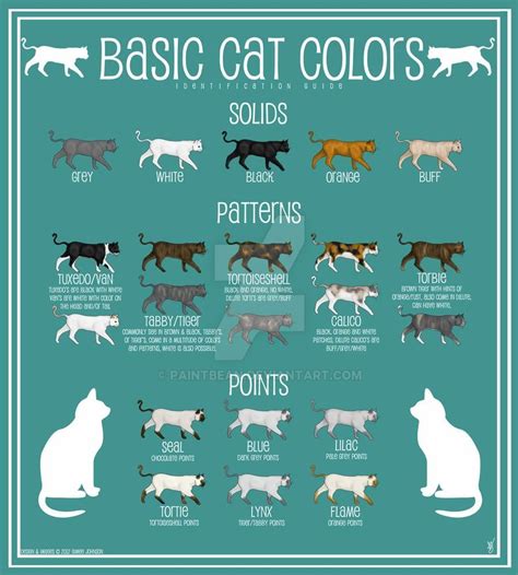 What is the least desired cat?