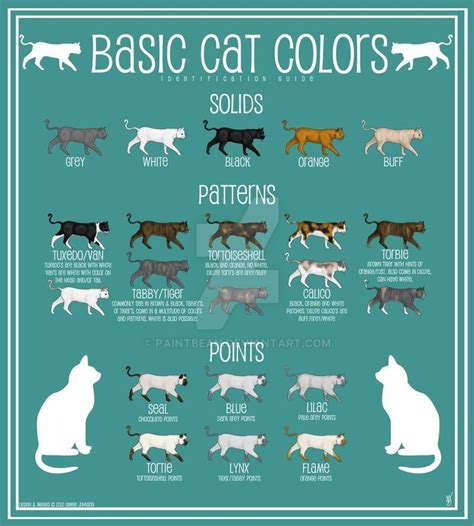 What is the least liked cat color?