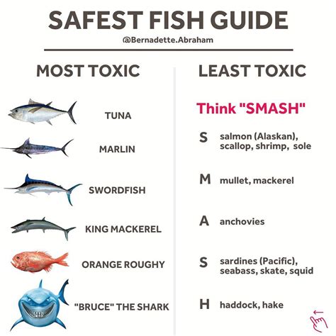 What is the least toxic fish to eat?