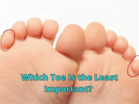 What is the least useful toe?