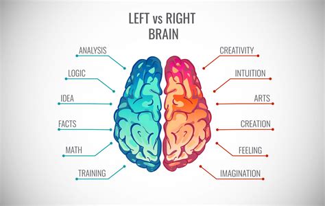 What is the left brain mental health?
