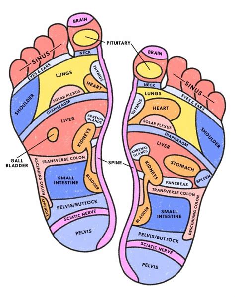 What is the left foot in reflexology?