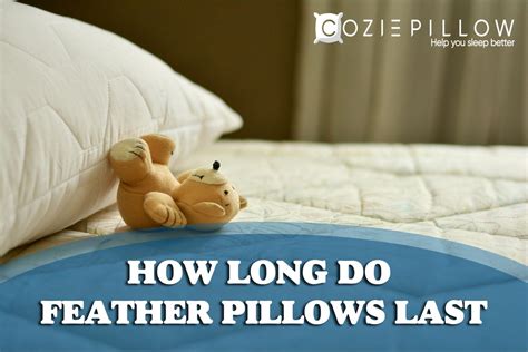What is the lifespan of a pillow?
