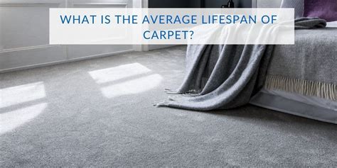 What is the lifespan of carpet?