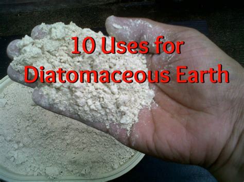 What is the lifespan of diatomaceous earth?
