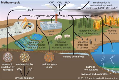 What is the lifetime of methane?
