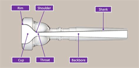 What is the lip ratio for a trumpet?