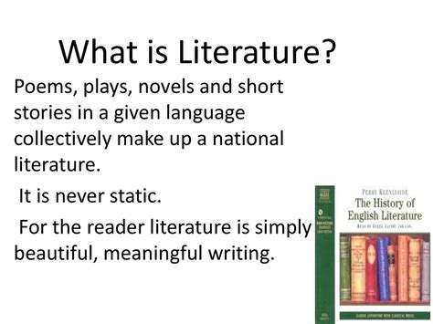 What is the literary definition of ideal?