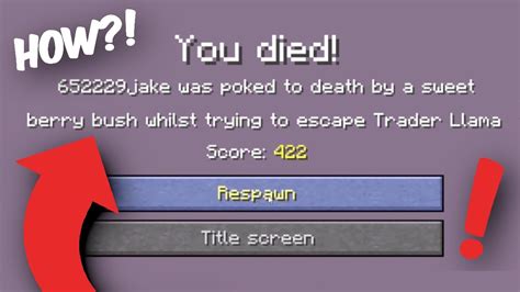 What is the longest death in Minecraft?