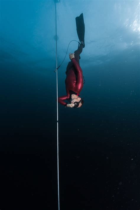 What is the longest you can free dive?