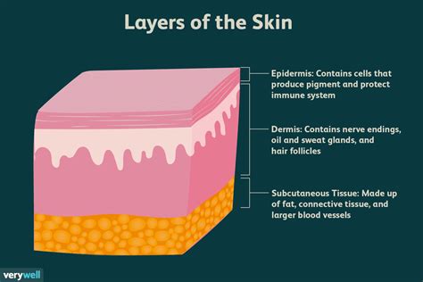 What is the lowest skin thickness?