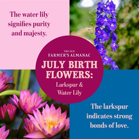 What is the lucky flower for July born?