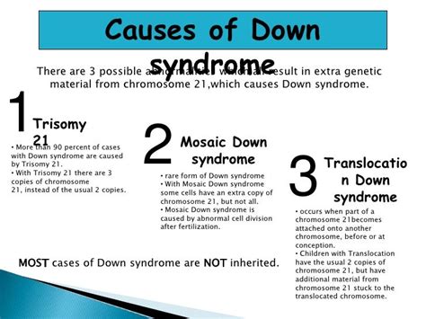 What is the main cause of Down syndrome?
