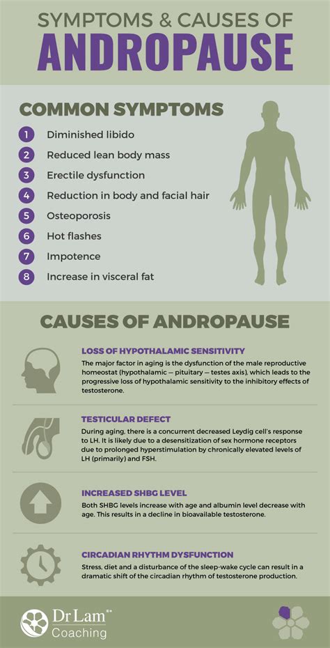 What is the main cause of andropause?