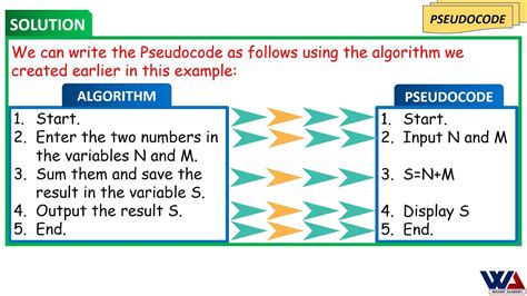 What is the main difference between algorithm and pseudocode?