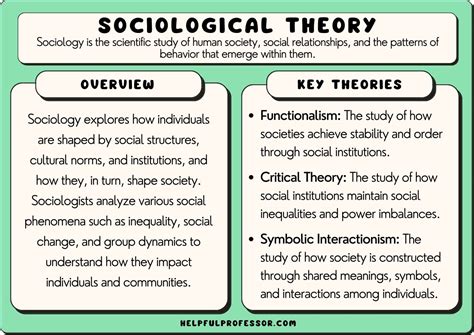 What is the main idea of social theory?