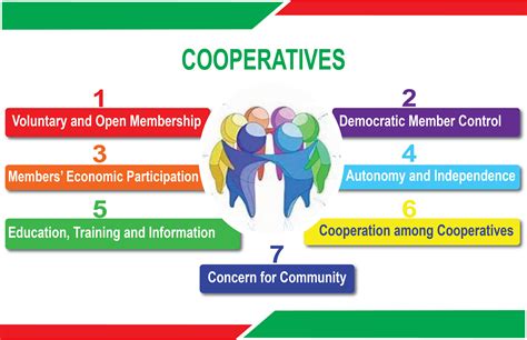 What is the main principle of co operative?