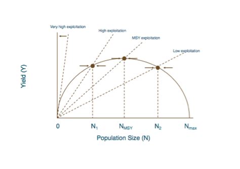 What is the maximum sustainable population?