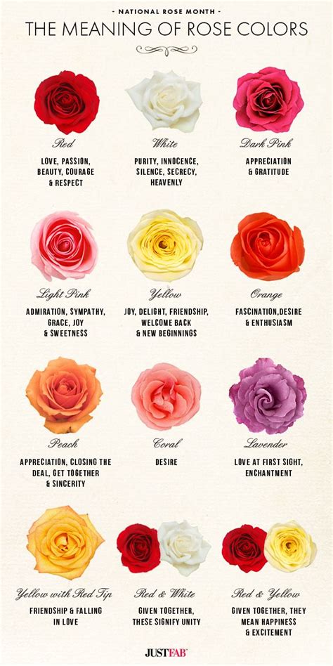 What is the meaning of 101 roses?