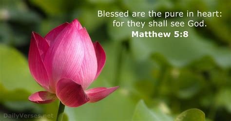 What is the meaning of Matthew 5 8?