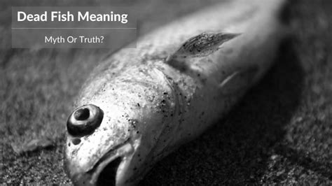What is the meaning of dead fish?