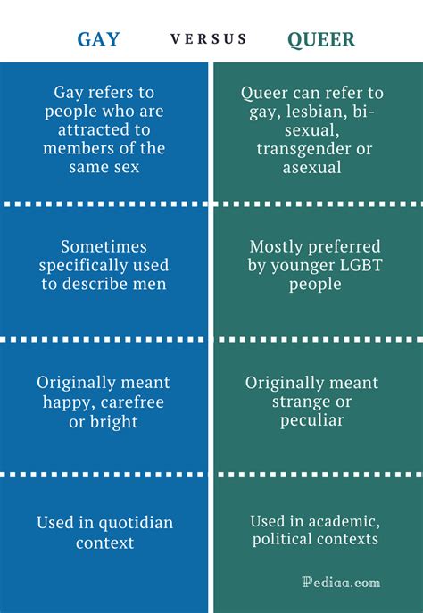 What is the meaning of gay in simple words?